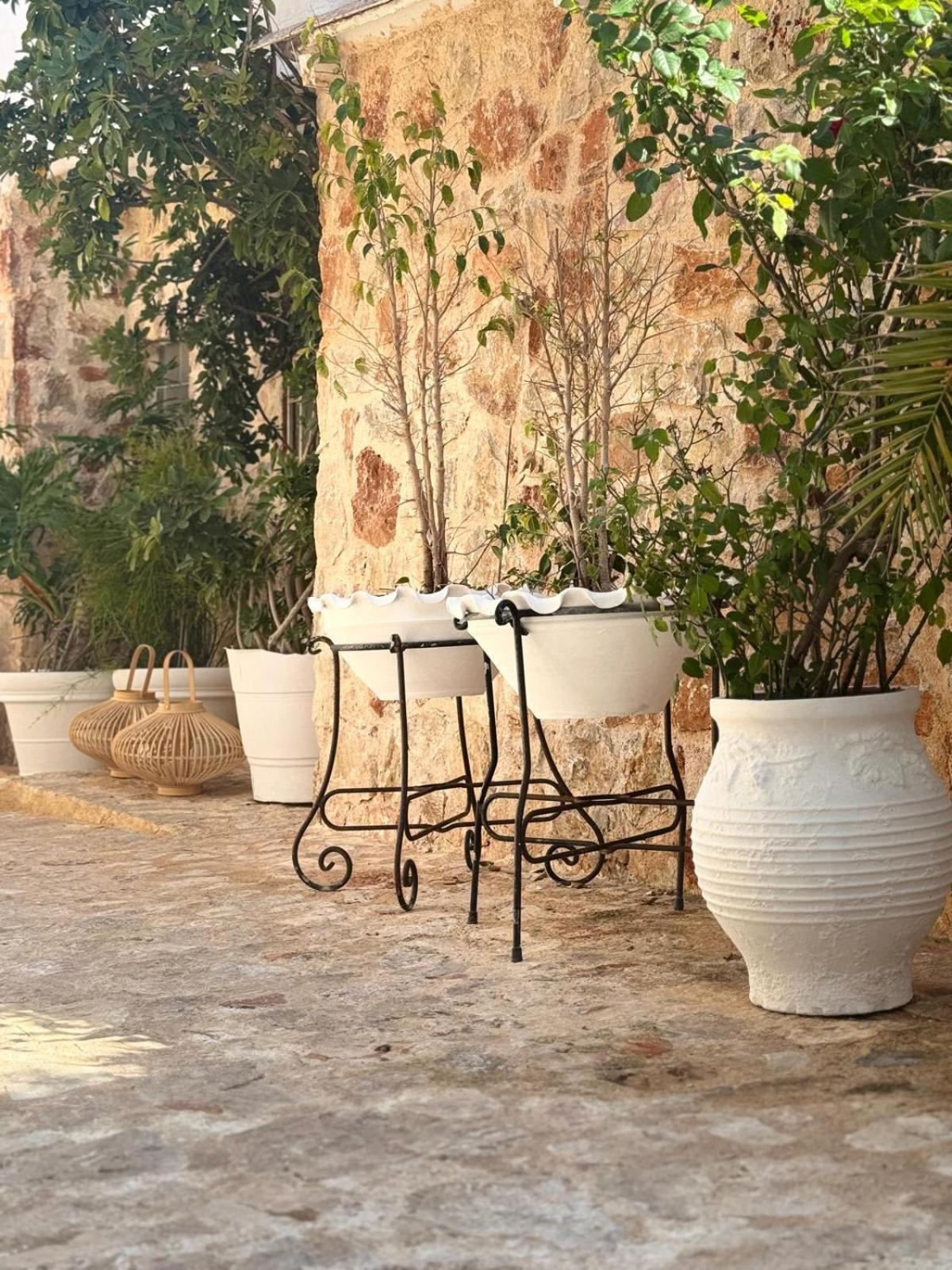 Pallas Seaside 1 Atina Dış mekan fotoğraf